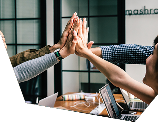 hive360 peo clients