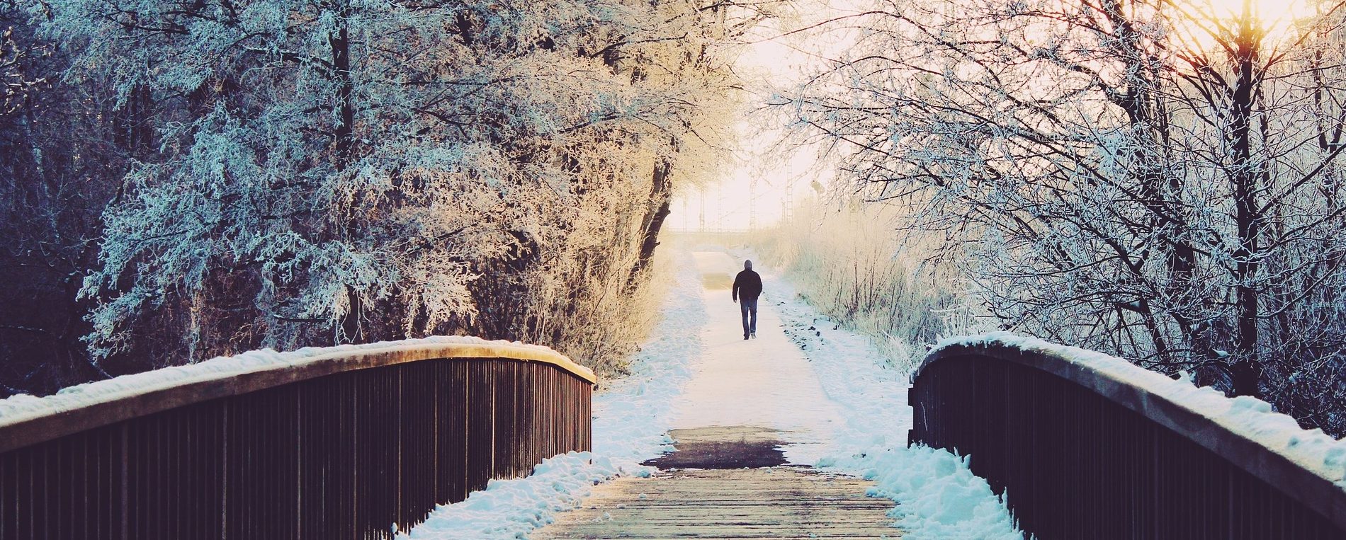Hive360 - Winter Blues