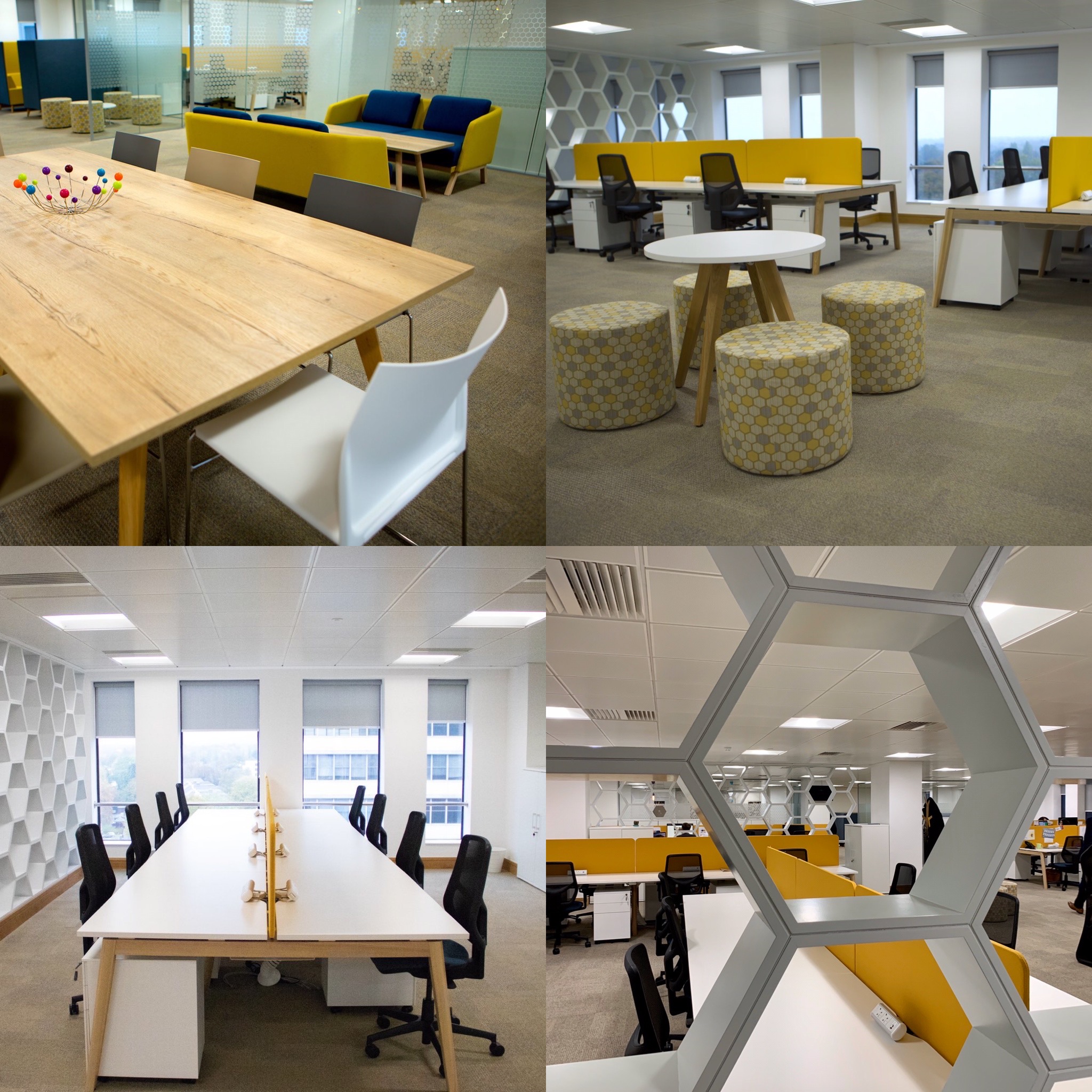 Hive360’s Office Hive360's Office
