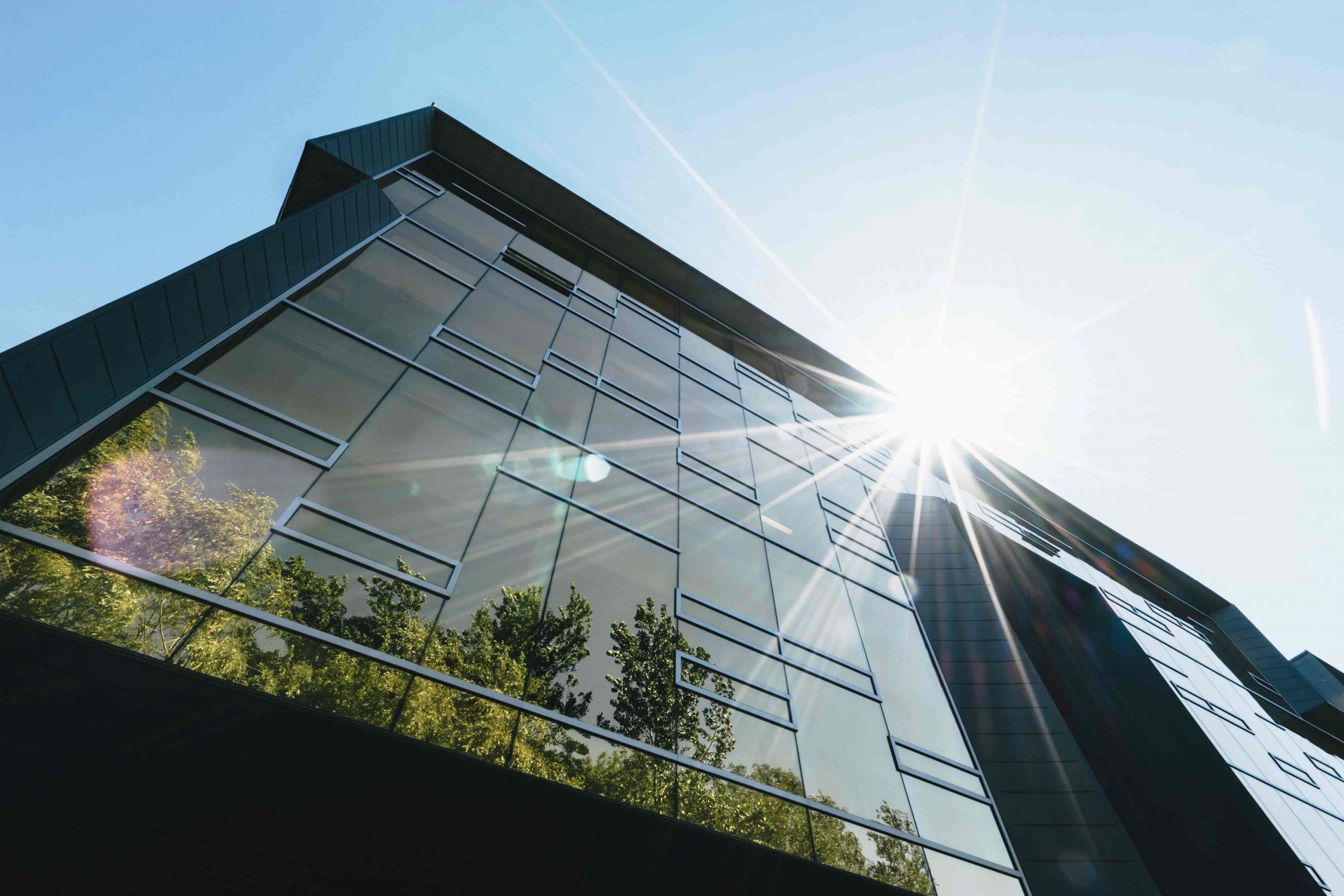 a glass building with a tree in its reflection